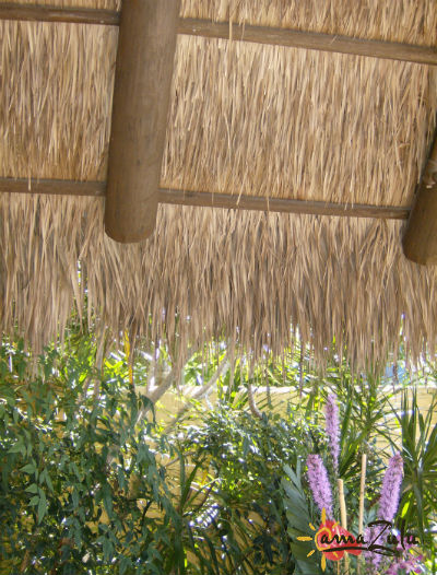 Thatch roof interior
